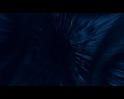 PDVD_982