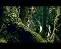 PDVD_1102