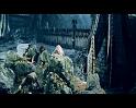 PDVD_1116