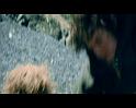 PDVD_1204