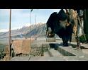 PDVD_1566