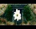 PDVD_1607
