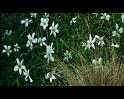 PDVD_1609