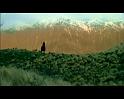PDVD_1630