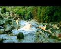 PDVD_1771