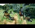 PDVD_2059