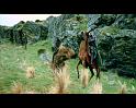 PDVD_2071