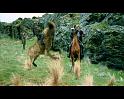 PDVD_2073