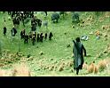 PDVD_2082