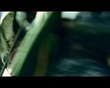 PDVD_2112