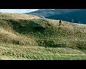 PDVD_2129