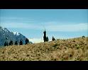 PDVD_2133