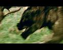 PDVD_2138