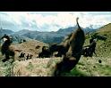 PDVD_2155