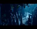 PDVD_2491