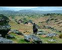 PDVD_2732