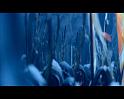 PDVD_3014