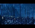 PDVD_3078