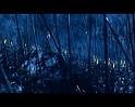 PDVD_3080