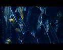 PDVD_3098