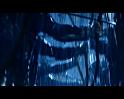 PDVD_3144