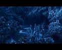 PDVD_3237