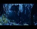 PDVD_3298