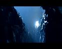 PDVD_3302