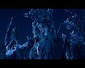 PDVD_3420