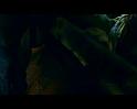 PDVD_3512
