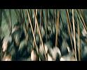 PDVD_4059