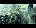 PDVD_4132