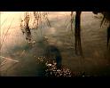 PDVD_814