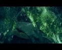 PDVD_838