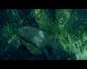 PDVD_839