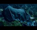 PDVD_859