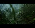 PDVD_014