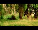 PDVD_067