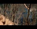 PDVD_119