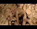 PDVD_120