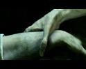 PDVD_1211