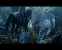 PDVD_145