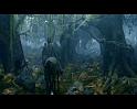 PDVD_146