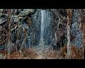 PDVD_1543