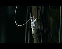 PDVD_1595