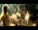 PDVD_167