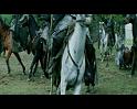 PDVD_1857