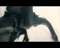 PDVD_2121