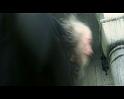 PDVD_2164