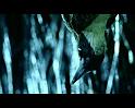 PDVD_2259